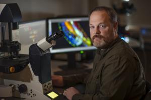 Research by scientists at the MDI Biological Laboratory in Bar Harbor, Maine, is opening up new approaches to promoting tissue regeneration in organs damaged by disease or injury