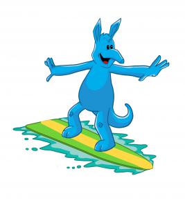 AARDY Insurance Surfing