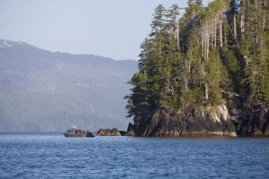 Despite the challenges of Covid keeping many people at home this summer, Waterfall Resort Alaska, on remote Prince Wales island in the archipelago of islands making up the Inside Passage of Southeast Alaska, stayed open for their summer fishing season Fishing-in-Alaska-for-king-salmon