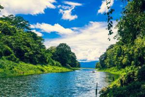 Honduras Nature