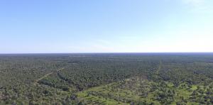 Quadriz B.V., the trading and carbon project arm of forestry and agro-research company Investancia, is excited to announce it is partnering with Ostrya Conservation Inc Largest REDD+ Project in the Paraguayan Chaco Now Underway