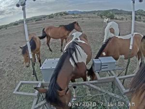 Photo of small family at a WPM feeding hub.