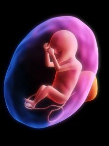 NX Prenatal Inc. (“NX Prenatal”) today announced the publication of new data demonstrating that exosome-associated protein biomarkers derived from first trimester maternal plasma are key in predicting the overall risk of developing Preeclampsia, and further indicate the ability to identify distinct subtypes of pathophysiology and predict severity of clinical presentation among Preeclampsia patients
