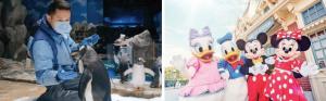A spotlight is shining on concerted efforts by Hong Kong Tourism Board public and private sectors in preparation for tourism revival in the post-pandemic city