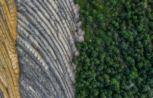 Despite the debate about whether “stakeholder capitalism” is really growing, data show corporate boards increasingly reward executives for corporate social responsibility Natural transition from rocky, barren land to luscious forest