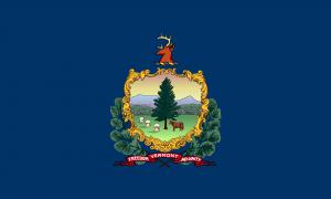 The Vermont US Navy Veterans Lung Cancer Advocate says, "We are appealing to the immediate family of a Navy Veteran with lung cancer in Vermont to please call the lawyers at the law firm of Karst von Oiste-KVO at 800-714-0303 if their loved one also had significant exposure to asbestos on a navy ship or submarine